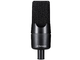 SE ELECTRONICS - Microfono a condensatore diaframma largo per voce e strumenti acustici