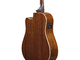 IBANEZ - Chitarra acustica elettrificata cutaway natural