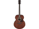 IBANEZ - 