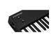 STUDIO LOGIC - Midi master keyboard 88 tasti premium hammer action