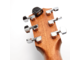 D'ADDARIO - 