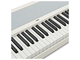 KORG - PIANOFORTE DIGITALE 88 TASTI PESATI BIANCOPIANOFORTE DIGITALE 88 TASTI PESATI BIANCO