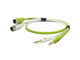 NEO OYAIDE - 