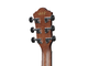 IBANEZ - 