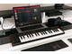 IK MULTIMEDIA - Tastiera Midi Controller Universale con 37 tasti