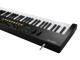 NEKTAR - 