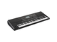 KORG - Arranger 61 Tasti Dinamici