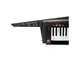 KORG - TASTIERA A TRACOLLA KEYTAR