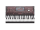 KORG - Tastiera professionale arranger 61 tasti
