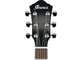 IBANEZ - 