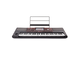 KORG - Tastiera professionale arranger 61 tasti