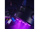CAMEO - 