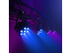 CAMEO - 