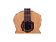JOSE TORRES - Chitarra Classica