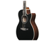 IBANEZ - 