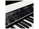 KORG - PIANOFORTE DIGITALE 88 TASTI