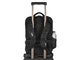 UDG - 