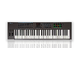 NEKTAR - 