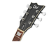 ESP LTD - 