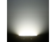 CAMEO - 
