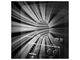PIONEER DJ - diffusore monitor attivo da 5” (bianco)