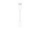 APPLE - 