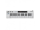 ARTURIA - 