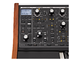 MOOG - SINTETIZZATORE ANALOGICO PARAFONICO 37 TASTI