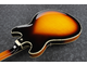 IBANEZ - Case incluso