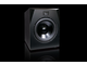 ADAM AUDIO - SUBWOOFER ATTIVO 15