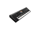 KORG - 