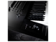 KORG - 
