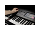 KORG - 