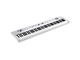 KORG - 