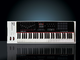 NEKTAR - 