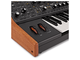MOOG - SINTETIZZATORE ANALOGICO PARAFONICO 37 TASTI