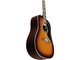 EKO - Chitarra acustica elettrificata