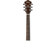 IBANEZ - 