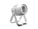 CAMEO - 