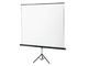 SCREENLINE - 