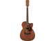 IBANEZ - 
