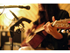 SE ELECTRONICS - Filtro per la riduzione dell’ambienza dedicato ad amplificatori per chitarra