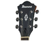 IBANEZ - 
