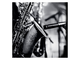 SHURE - Microfono per strumenti