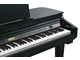 KURZWEIL - 