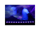 CAMEO - Barra a 12 LED UV da 3 W in alloggiamento nero LED con telecomando IR