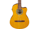 IBANEZ - 