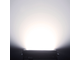 CAMEO - 