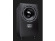 ADAM AUDIO - 