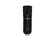 MARANTZ - Microfono a Condensatore USB